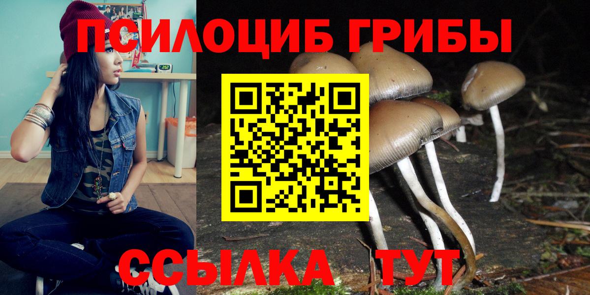 Кандалакша  Псилоцибиновые грибы MAGIC MUSHROOMS  Псилоцибиновые грибы мицелий  Вход с VPN 