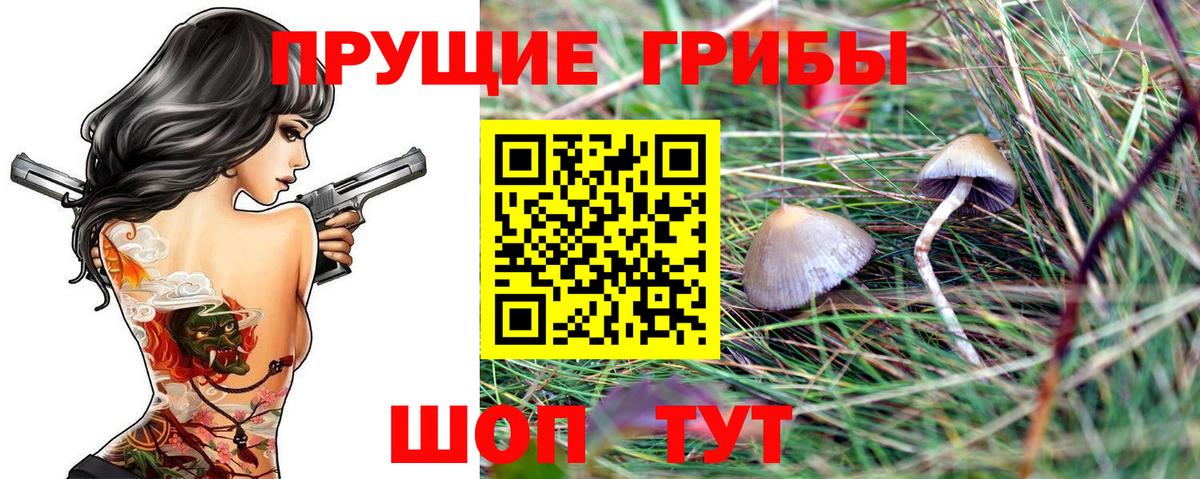 Галлюциногенные грибы Magic Shrooms Кандалакша