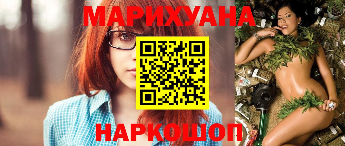 Конопля сатива Кандалакша